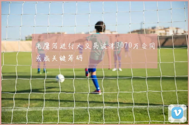 老鹰若进行大交易波津3070万合同或成关键筹码