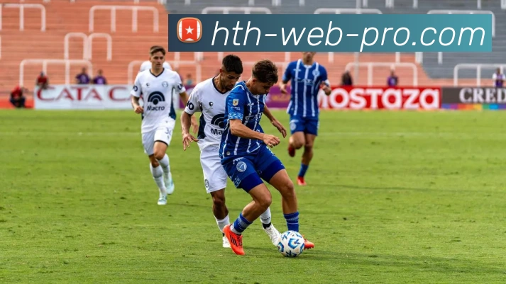 华体会平台生态图